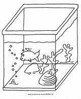 Ausmalbild Aquarium Zum Ausdrucken sketch template