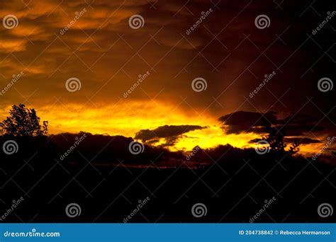 Bright orange sunset stock photo. Image of sunset, sunrise - 204738842