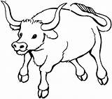 Ox Coloring Page At GetColoringscom  Free Printable Colorings Pages sketch template
