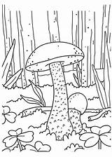 Trippy Shroom Coloring Pages sketch template