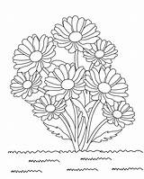 Daisy Coloring Page sketch template