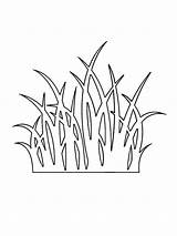 Tall Grass Coloring Pages sketch template