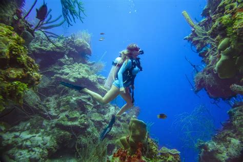 Best Places to Scuba Dive Around the World • The Blonde Abroad