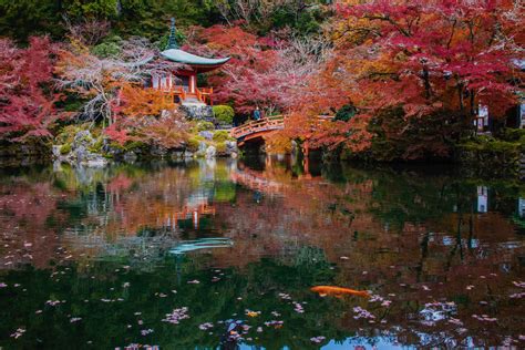 Planning a Japan Fall 2024 Trip? Here's What to Know