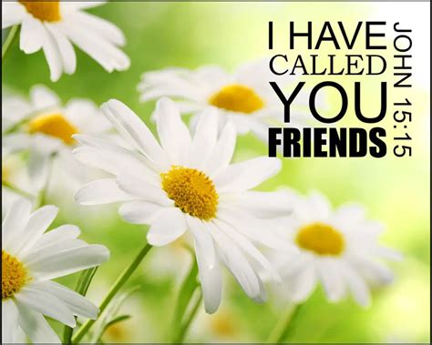 John 15:15 – Call You Friends - Encouraging Bible Verses