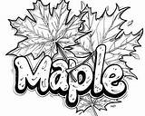 Maple Leaf Coloring Pages sketch template