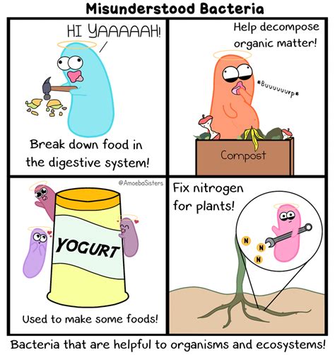 Paramecium Parlor Comics - Science with The Amoeba Sisters