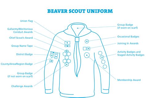 Beaver Badges | 1st West Leigh Scout Group