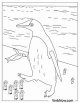 Free PENGUINS Coloring Pages For Download Printable PDF  VerbNow sketch template