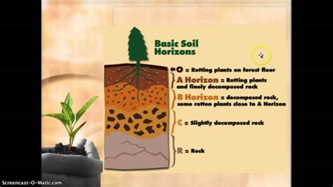 soil components video notes - YouTube