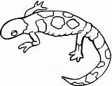 Monito Gecko Coloring Page  Free Printable Pages For Kids sketch template