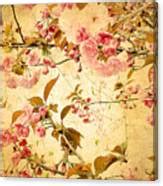 Vintage Blossom Framed Print by Jessica Jenney