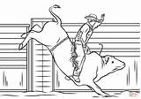 Bull Riding Rodeo Coloring Rider Clipart Pages Clip Pbr Cowboy White  sketch template