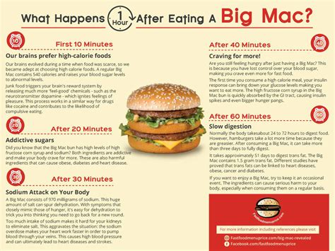 Here's what eating a Big Mac does to your body in an hour