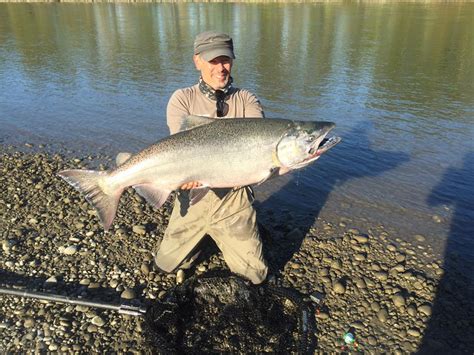 Chinook Salmon Fishing Guides Fraser River BC