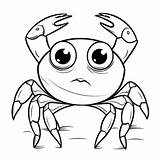 Cute Crab Coloring Page Vector Drawing Ring Color  sketch template