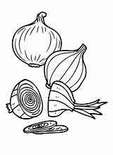 40  Onion Coloring Pages Free Printable PDF JPG PNG & Online Coloring sketch template