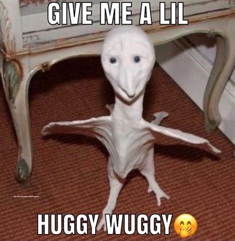 lil huggy wuggy : r/memes