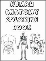 Printable Anatomy Coloring Pages sketch template
