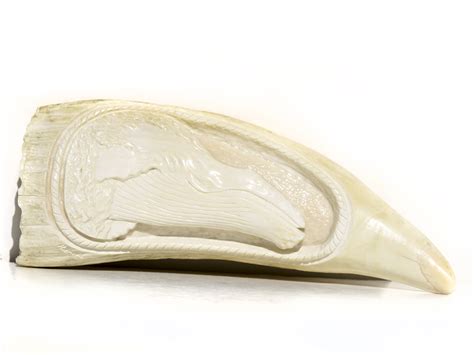 Armando Ramos Whale's Tooth Carving - Humpback Whale - Scrimshaw Collector