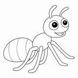 Ant Is An Insect Coloring Page Sky  Vrogueco sketch template