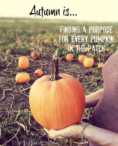 Pumpkin Patch Musings | Pumpkin quotes, Pumpkin patch, Pumpkin