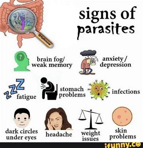 Signs of parasites brain fog/ anxiety / weak memory depression stomacl v fatigue problems ...