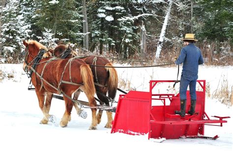 Horse drawn snow plow | Amish, Amish culture, Amish country