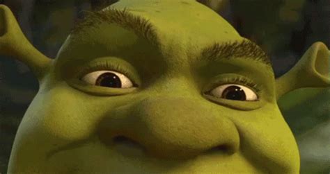 Shrek Shocked GIF - Shrek Shocked Oh No - Découvrir et partager des GIF