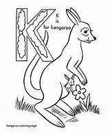 Baby Kangaroo Coloring Pages  Learny Kids sketch template