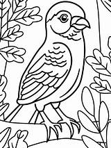 Plus De 30 Pages à Colorier Doiseaux Gratuites Pour Tous Les âges  sketch template