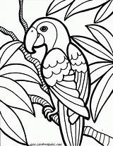 Coloring Pages 11 Year Olds  Free Download On ClipArtMag sketch template