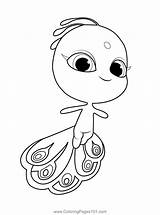 Miraculous Ladybug Coloring Pages sketch template