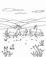 Horse Herd In The Meadow Coloring Page  Free Printable sketch template