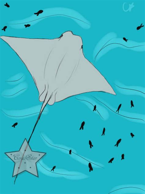 Cownose Stingray by Coralstar51199 on DeviantArt