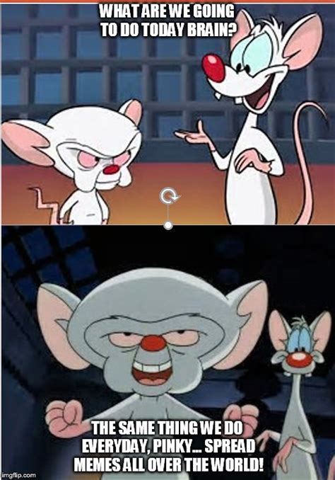 pinky and the brain Memes & GIFs - Imgflip