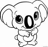 Koala Coloring Pages Free Printable  Download sketch template