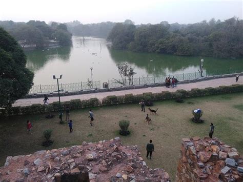 Deer Park (New Delhi) - 2021 What to Know Before You Go (with Photos ...