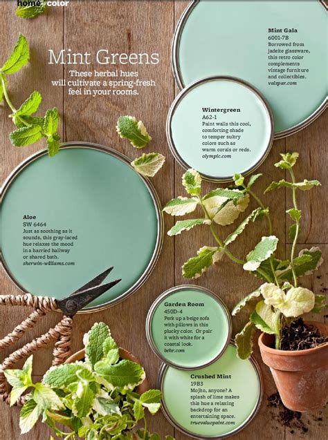 The Top Green Paint Colors Designers Swear By | Mint green paints ...