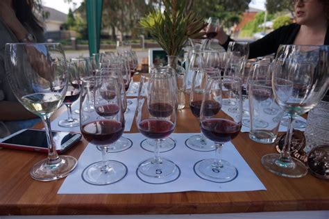 How to host a fun and simple blind wine tasting - Wine Compass