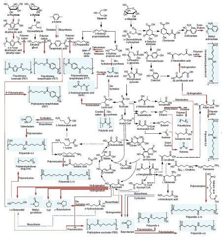 A comprehensive metabolic map for production | EurekAlert!