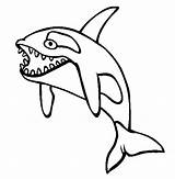 Orca Whale Coloring Sheet Pages sketch template