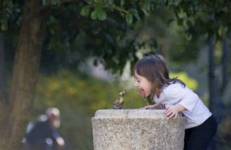 Water Fountain at School: An Assessment of the Drinking Water Conditio