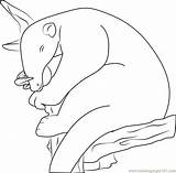 Sleeping Anteater Coloring Page For Kids  Free Printable sketch template