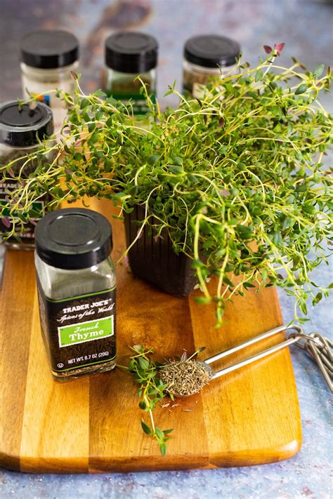 Substitute For Thyme - Healthier Steps