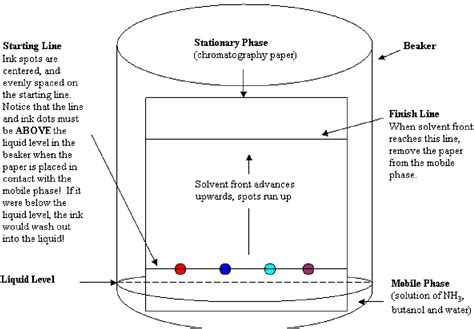 2: Paper Chromatography of Gel Ink Pens (Experiment) - Chemistry LibreTexts