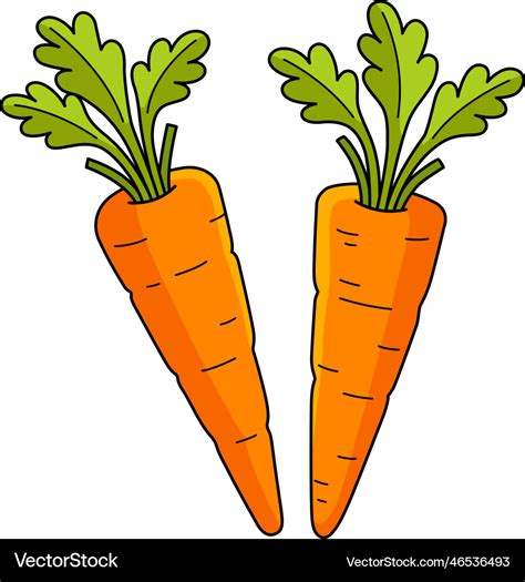 Carrots vegetable cartoon colored clipart Vector Image