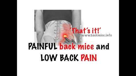 Lumps in low back… Back mice: the tip of the iceberg (fatty hernias as a cause of low back pain ...