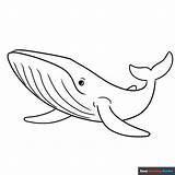 Blue Whale Coloring Page  Easy Drawing Guides sketch template