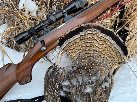 Rifle Ruffed Grouse Hunt — Ron Spomer Outdoors